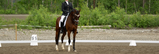 Klubbmesterskap i dressur-ridning